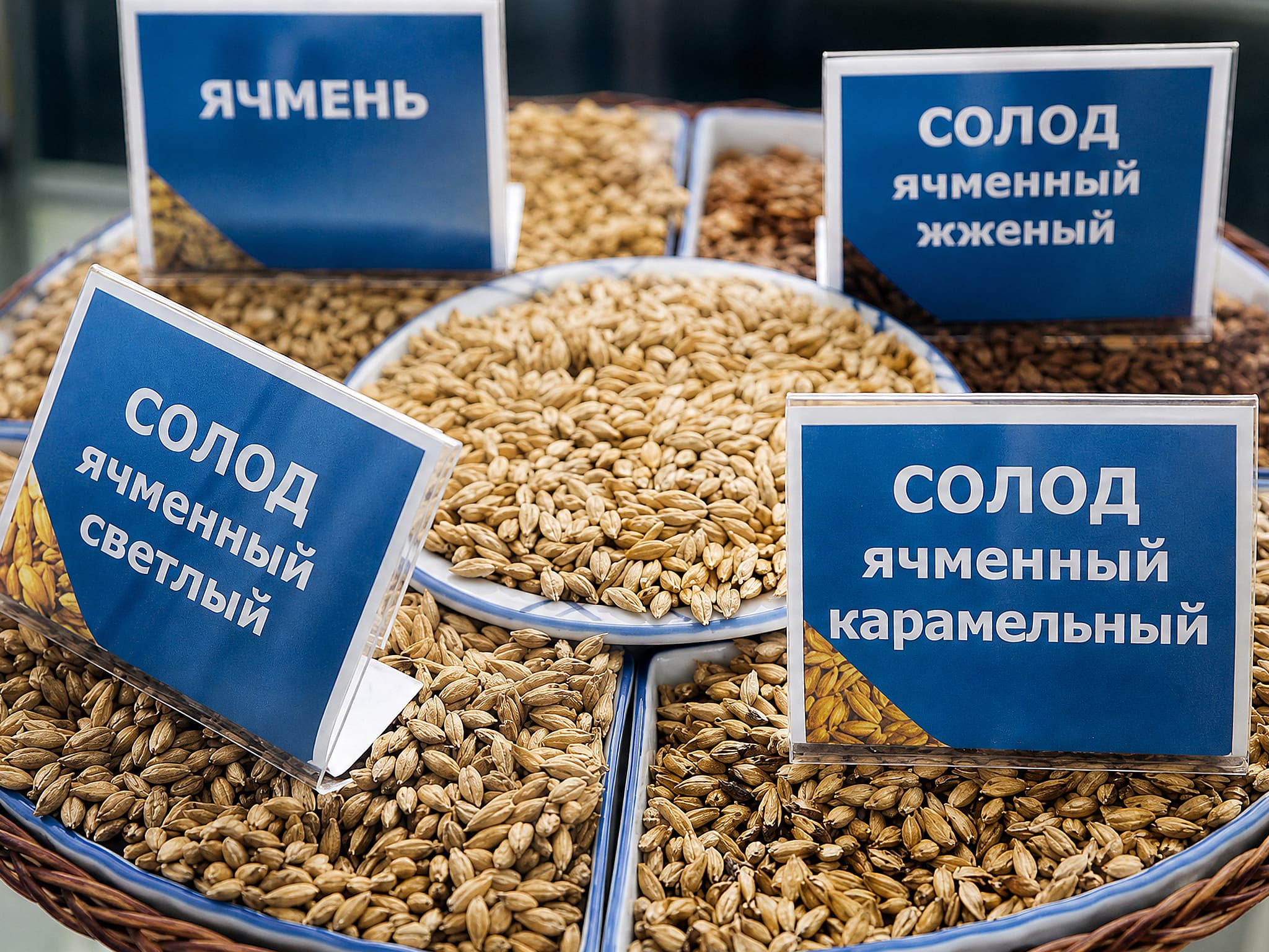 Barley malt samples